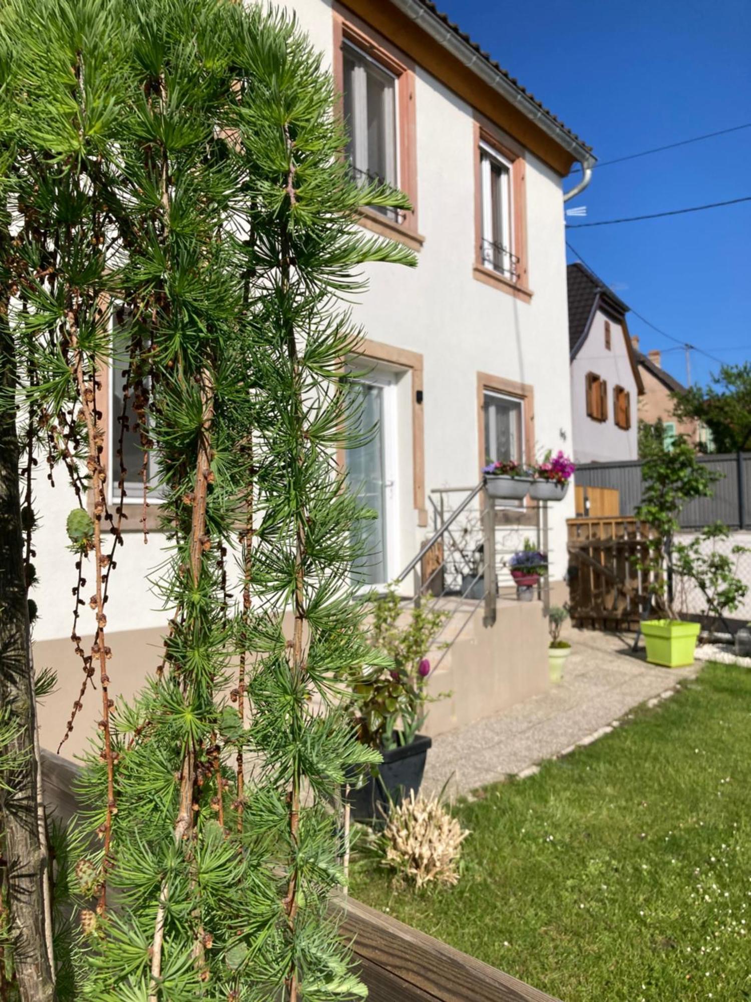 Gite Le 1602 Saint-Nabor Exterior photo